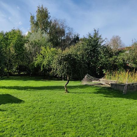 Familienurlaub Mit Hund An Der Ostsee Admannshagen-Bargeshagen Εξωτερικό φωτογραφία